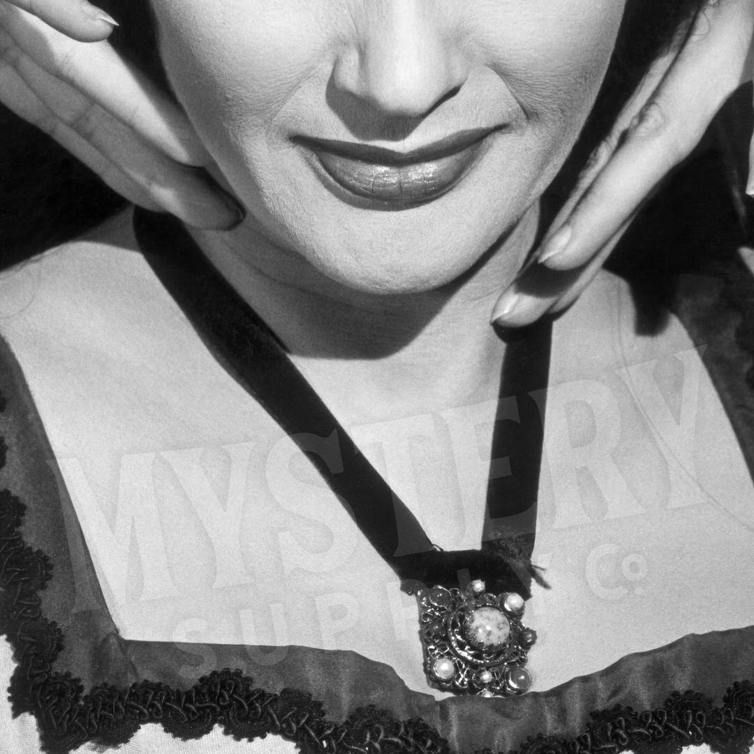 lily from the monsters Lily Munster Vampire Photo Poster