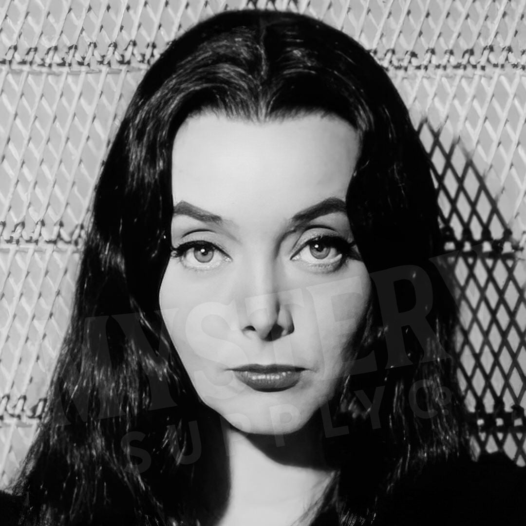 Morticia Addams Carolyn Jones 1960s Vintage Addams Family Witch Horror Monster Beauty Black and White Photo reproduction from Mystery Supply Co. @mysterysupplyco
