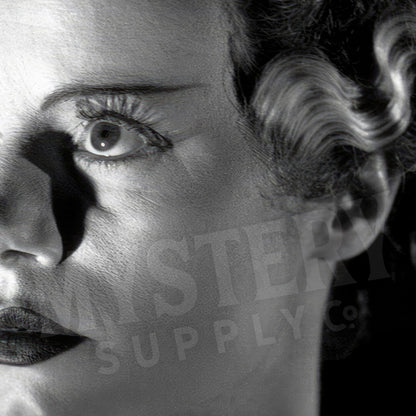 Bride of Frankenstein 1935 Vintage Horror Movie Monster Black and White Dramatic Photo reproduction from Mystery Supply Co. @mysterysupplyco