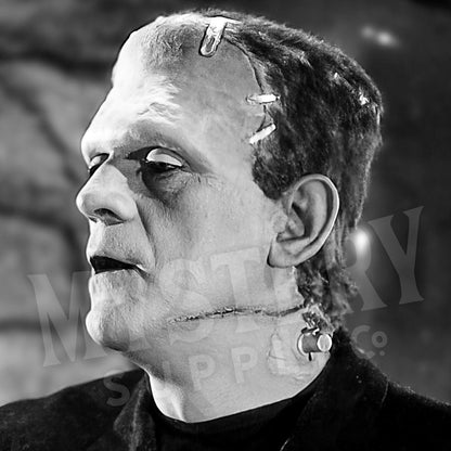 Bride of Frankenstein 1935 Vintage Horror Movie Monster Couple Black and White Photo reproduction from Mystery Supply Co. @mysterysupplyco