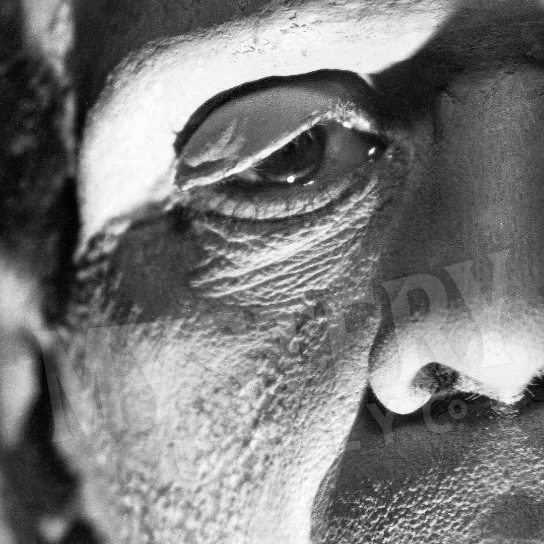 1930s monsters Frankenstein 1930s Vintage Horror Movie Monster Photo – Mystery Supply Co