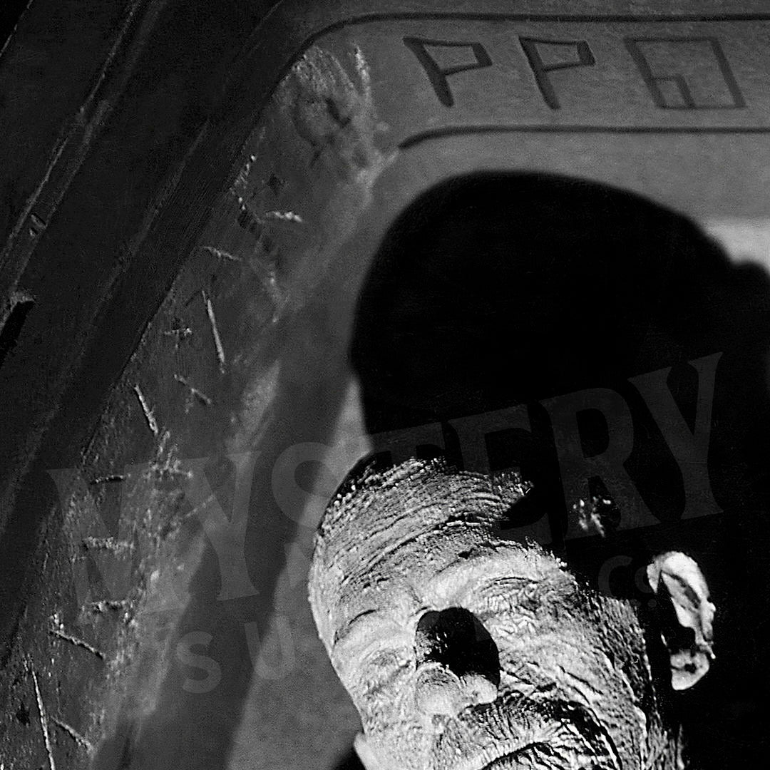 The Mummy 1932 Vintage Horror Movie Monster Boris Karloff Coffin Black and White Photo reproduction from Mystery Supply Co. @mysterysupplyco